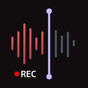 Voice Memos: Audio Notes
