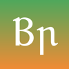 Briathra - Irish Verbs - Danny Keogan