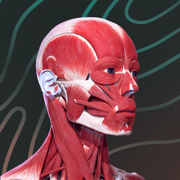 Easy Anatomy 3D