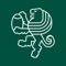 Grazie per aver scelto di usare Benetton Rugby Official App