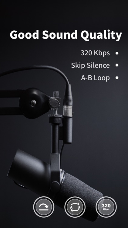 Voice Recorder + Voice Memos