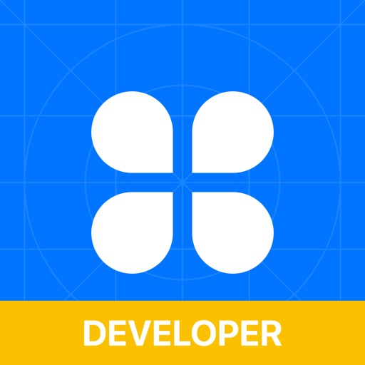 AppMaster Developer