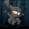 Ninja Run & Fun