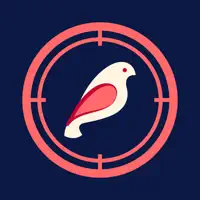 Bird Finder - Bird Identifier