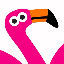 Jeux Animaux Bebe Animalibrium