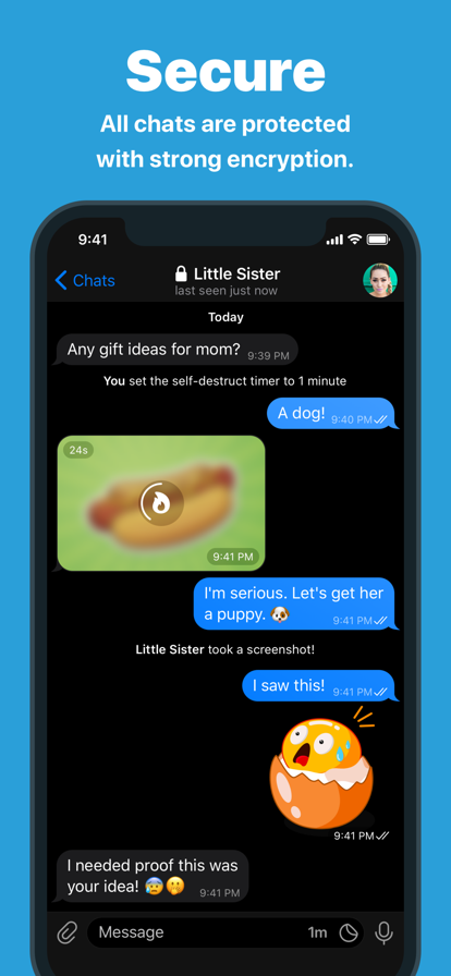 Telegram Messenger Screenshots