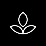 Emphasis: Flow & Focus Timer