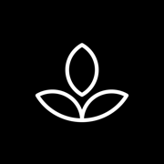 Emphasis: Flow & Focus Timer