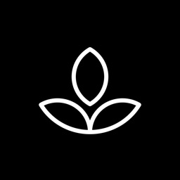 Emphasis: Flow & Focus Timer