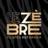 LE ZÈBRE icon