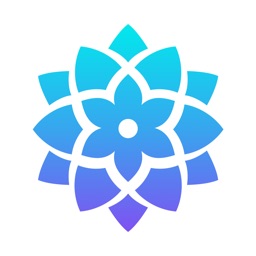 Lucid Vision - Train Your Mind