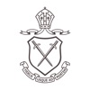 Ivanhoe icon
