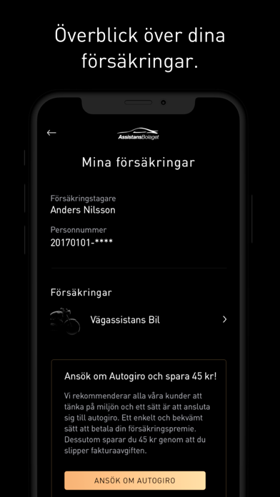 Assistansbolaget Screenshot