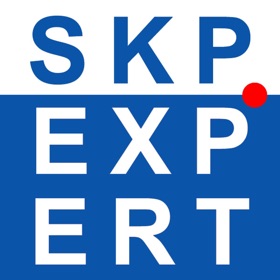 SketchUp Expert