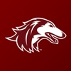 SIU Salukis icon