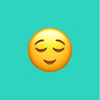 Anxiety Journal- CBT Prompts