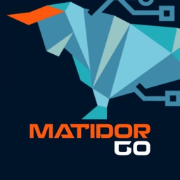 Matidor Go
