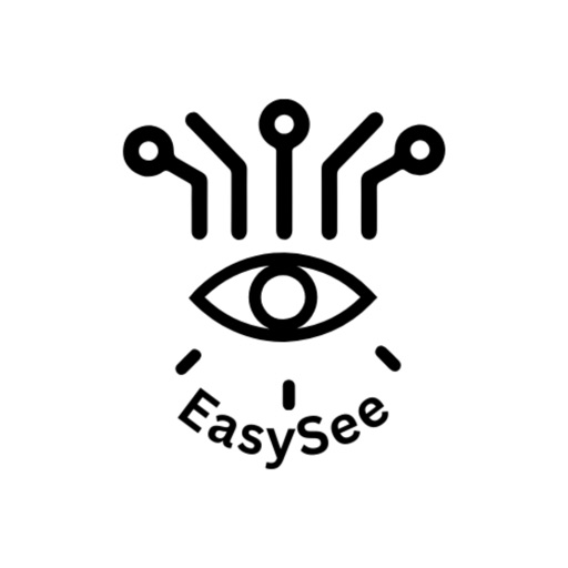 EasySee: AI for the Blind