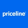Get Priceline - Hotel, Car, Flight for iOS, iPhone, iPad Aso Report