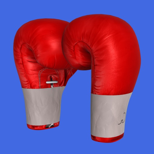 Boxing Trainer: Punch Master app icon