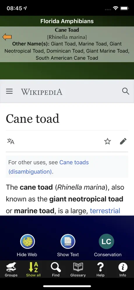 Florida Amphibians