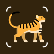 Identify Animals with AI