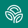 自然阳光 icon