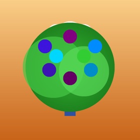Fruits Calculator