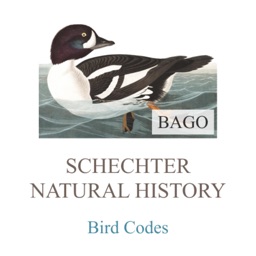 ABA/AOU Bird Codes