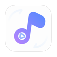 VidSonic