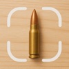 Bullet Identifier icon