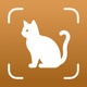 Cat Breed Identifier: Catium app icon - Education app for iPhone
