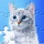 Jigsaw Puzzles - Puzzle Games