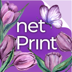 netPrint – печать фотографий на пк