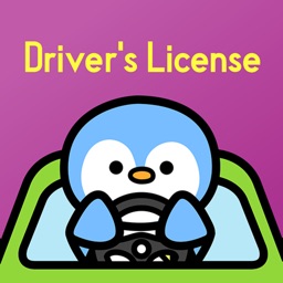 King of Driver's License JP