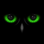 Night Eyes - Nachtzicht camera