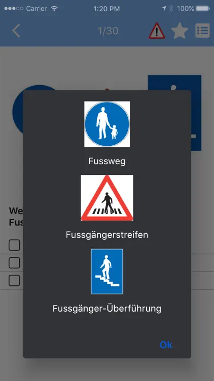 Capture d'écran 6 sur 6 de Auto Theorie Fahrlehrer24