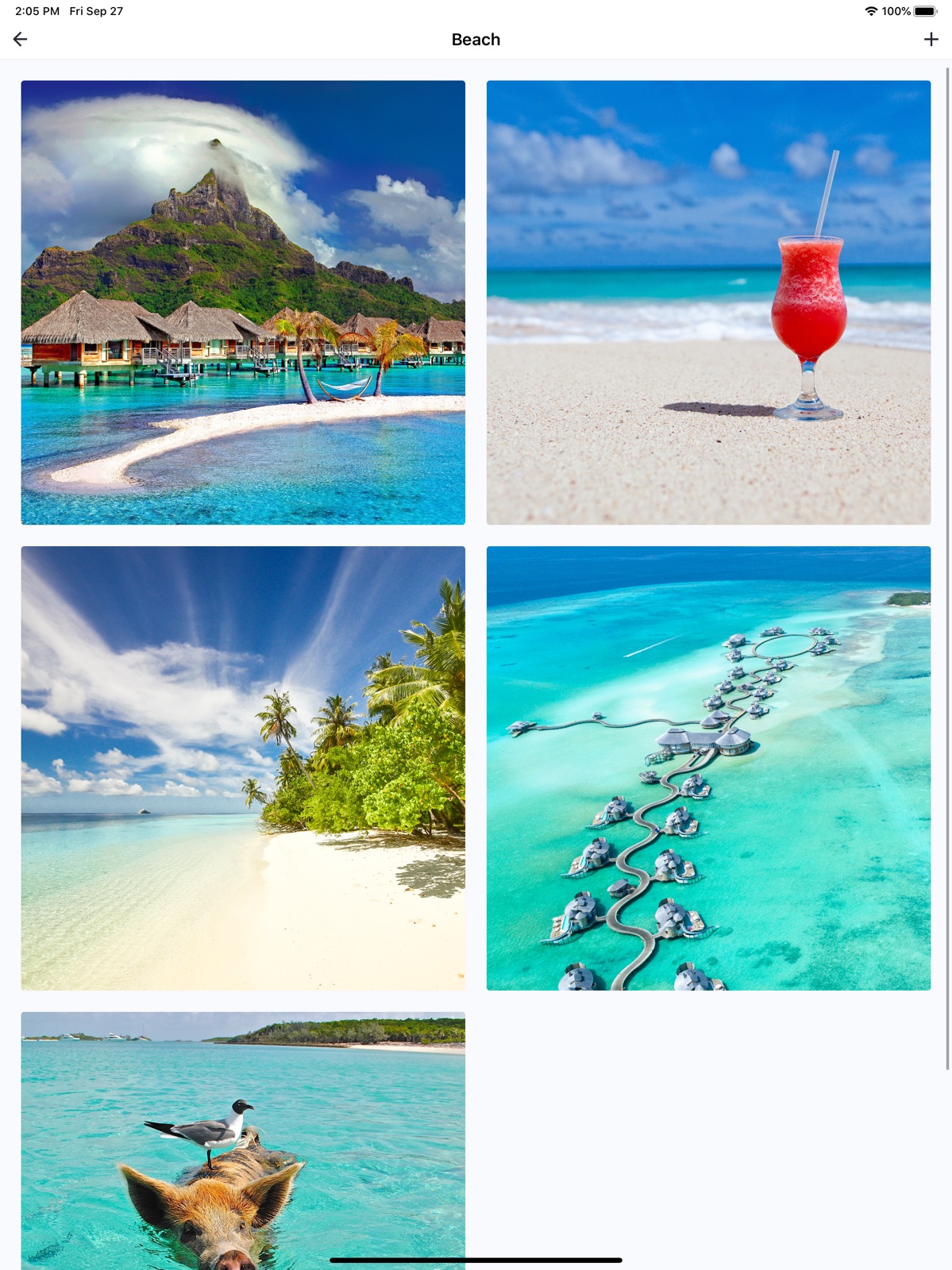Secret Photo Album · 1Locker ipad screenshot 1