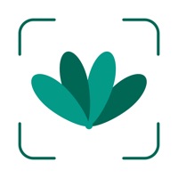 Plantfie・Plant Care Identifier logo