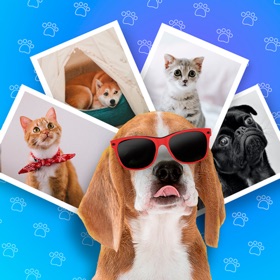 لقطات (4) Pet Photo Editor