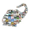 Huge Collage Maker icon