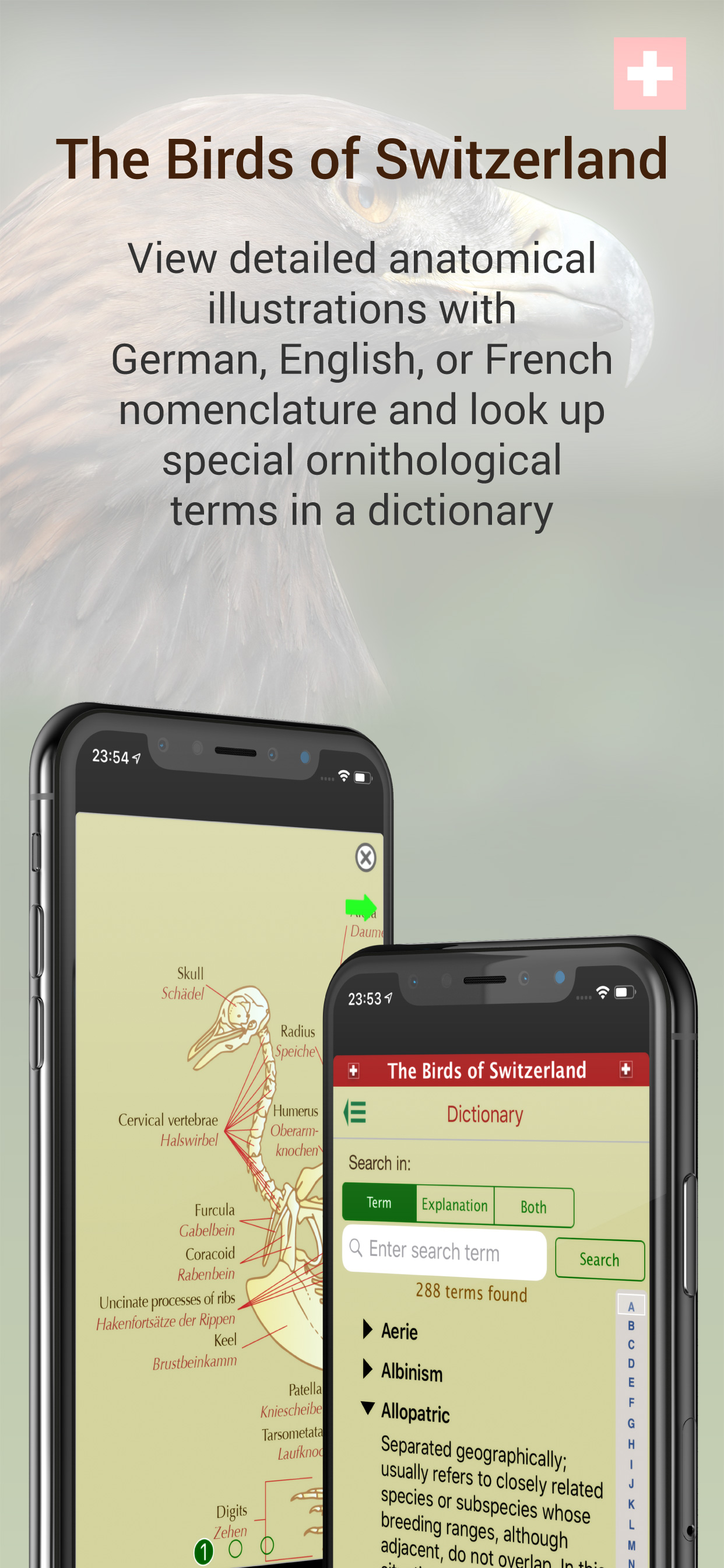 The Birds of Switzerland screenshot 5