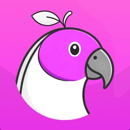 AI Flash Card Maker: Plumhead