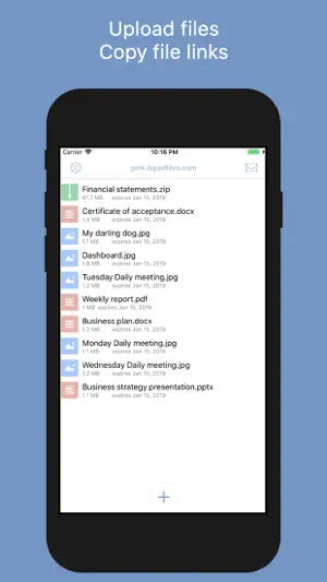 LiquidFiles screenshot 1