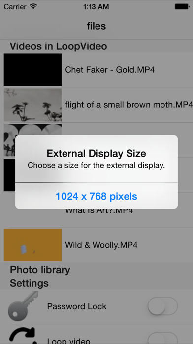 LoopVideoMINI screenshot