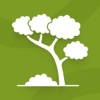 Tree Identifier: Flora Scanner icon