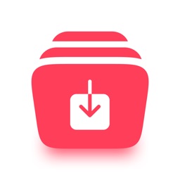 InSaver - Video Saver