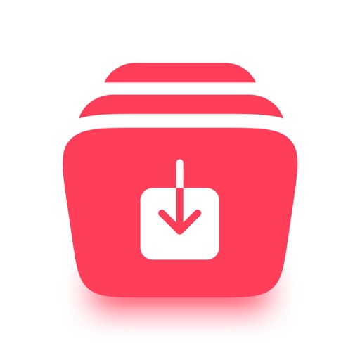 InSaver - Video Saver