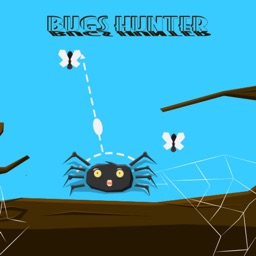 Bugs Hunter spider
