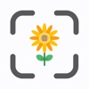 Flower Identifier - FlowerUP icon